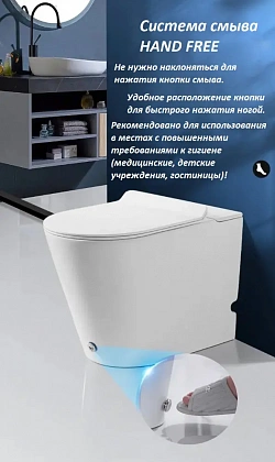 Приставной унитаз Cerutti Disgrazia Pulse CT7269 С функцией импульсного смыва