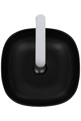 Накладная раковина WeltWasser WW ELBACH 2184 MB черный матовый
